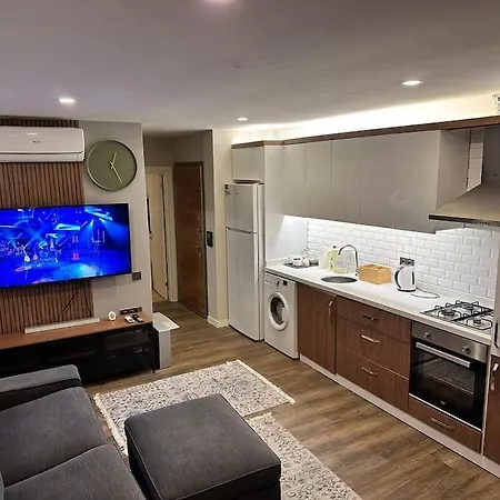 Essiz Konsept Daireden Havuza Ozel Girisli Apartment